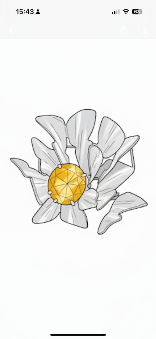 Broche colectivo EL ENJAMBRE