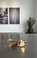Pulsera hepatoala I